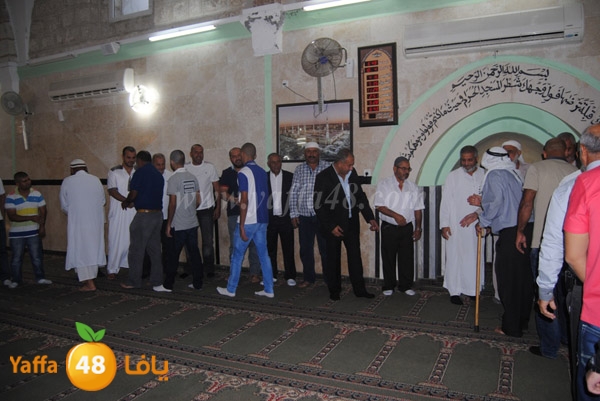 qerm ramla 3ed (9).JPG